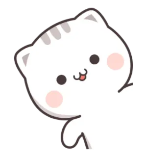 😺 gato, gatito, lindo, animal, pegatina telegram sticker