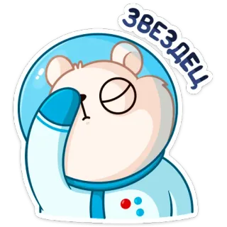 🙈 ЗВЕЗДЕЦ gấu, phi hành gia, vũ trụ, nga, nhãn dán telegram sticker