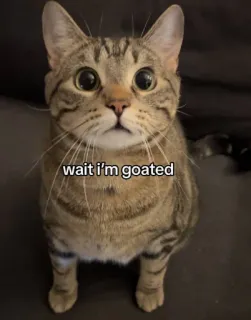 🐐 wait i'm goated telegram sticker