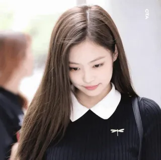 💱 여자, 패션, 갈색 머리, 칼라, 드레스 telegram sticker