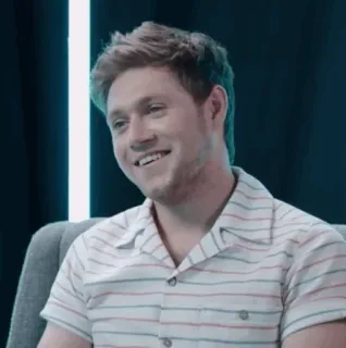 🎸 Niall Horan Niall Horan, cantor, celebridade, One Direction, músico, pop telegram sticker