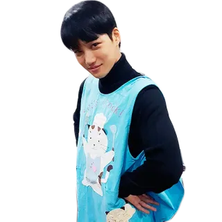 ☹️ uomo, grembiule, gatto, chef, coreano whatsapp sticker