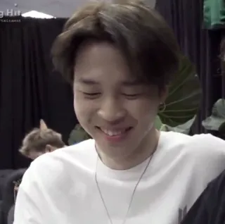 🎭 Jimin kpop, idol, jimin, bts, senyum, penyanyi telegram sticker