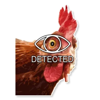 👁 DETECTED ayam, mata, terdeteksi, hewan, unggas telegram sticker