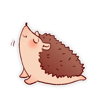 🧘‍♂️ ouriço, fofo, animal, desenho animado, adesivo telegram sticker