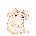 😞 coniglio, triste, animale, carino, coniglio whatsapp sticker