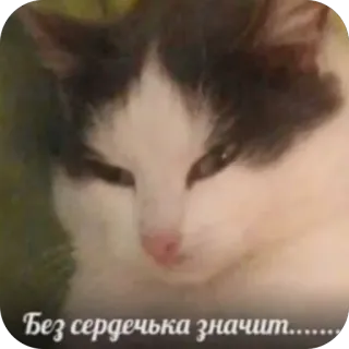 🫥 Без сердечка значит........ telegram sticker