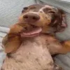 🤩