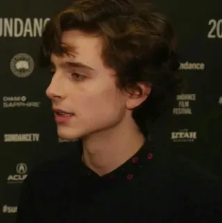 🌸 Timothée Chalamet diễn viên, người nổi tiếng, chân dung, đàn ông, tóc, góc nghiêng telegram sticker