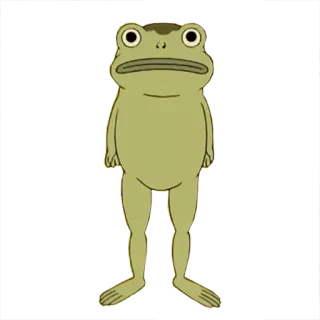 😕 rana, animal, dibujos animados, verde, anfibio telegram sticker