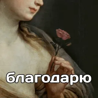 👍 благодарю thank you, classical art, rose, gratitude, vintage, expression telegram sticker