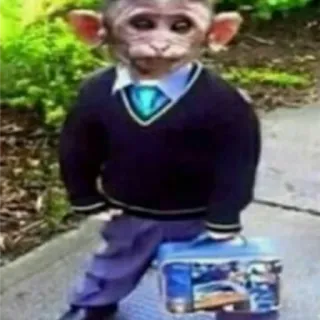 👦 małpa, garnitur, lunchbox, zwierzę, śmieszne telegram sticker