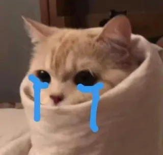 😿 кот, плачет, мем, грустно, одеяло, слёзы, эмоция whatsapp sticker