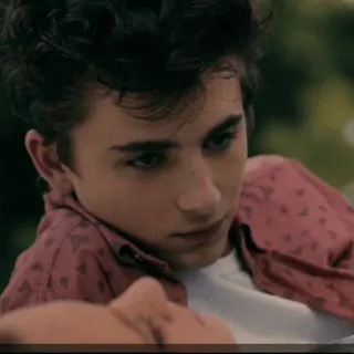 🍃 Timothée Chalamet acteur, portrait, homme, célébrité telegram sticker