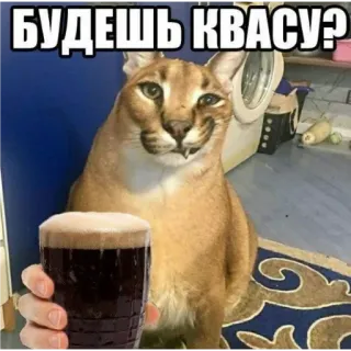 🙂 Будешь квасу? cat, floppa, kvass, drink, russian telegram sticker