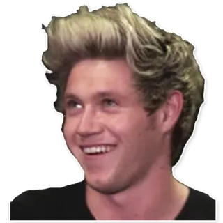 😚 Niall Horan Niall Horan, chanteur, célébrité, One Direction, pop star telegram sticker