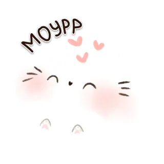 ❤️ MOYPP gato, lindo, dibujos animados, pegatina, animal, kawaii telegram sticker
