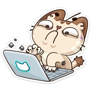 ☹ 고양이, 노트북, 컴퓨터, 스티커, 만화, 동물, 인터넷, 온라인 telegram sticker