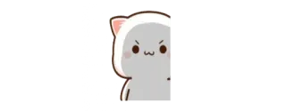 😼 whatsapp sticker