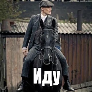 🚶‍♀️ ИДУ man, horse, riding, peaky blinders, suit telegram sticker