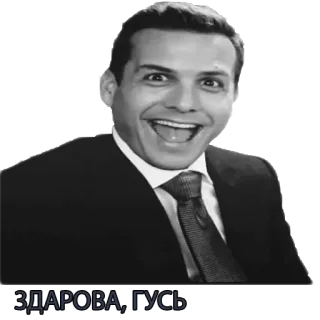 🖐 ЗДАРОВА, ГУСЬ telegram sticker