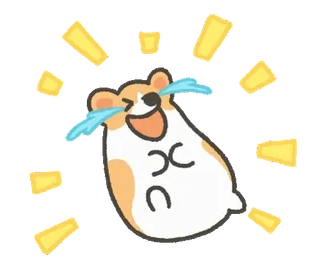 😂 hamster, lachen, huilen, blij, grappig, schattig, sticker telegram sticker