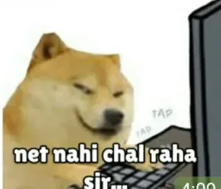 🥲 Doge net nahi chal raha sir... telegram sticker
