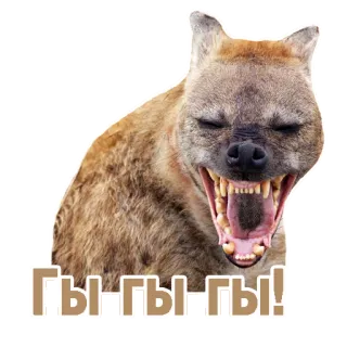 TCA whatsapp stickers