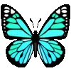 🦋