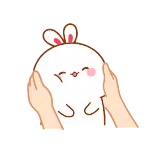 🤗 fofo, kawaii, coelho, coelho, adorável, mãos, abraço, fofo telegram sticker