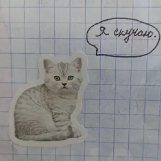 🥺 Я скучаю. Katze, Kätzchen, Tier, Haustier, Vermisse dich, Einsam telegram sticker