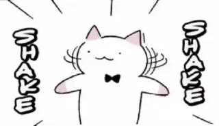 🙅‍♂️ SHAKE Katze, Schütteln, Bewegung, lustig, süß, Animation telegram sticker