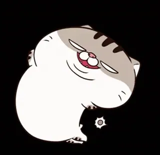 🪖 mèo, dễ thương, hoạt hình, động vật, kawaii whatsapp sticker