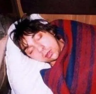 😴 dormindo, cobertor, interior, travesseiro, pessoa telegram sticker