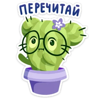 😵 ПЕРЕЧИТАЙ cacto, óculos, flor, planta, ler, reler whatsapp sticker
