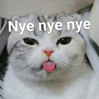 😝 e1161203 Nye nye nye chat, mignon, animal, langue, mème telegram sticker