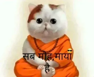 😯 2d234016 सब मोह, माया है kat, monnik, meditatie, indiaas, wijsheid whatsapp sticker