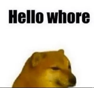🤨 59551fe3 Hello whore hond, meme, aanstootgevend, dier, grappig whatsapp sticker