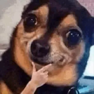 👑☠️🔒𝓝𝓘𝓚𝓚🌟☠️👑/#𝗢𝘁𝗮𝗸𝘂s kang pack whatsapp stickers