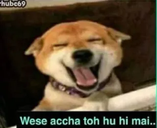 🔥 ec918e59 Wese accha toh hu hi mai.. hond, grappig, lachen, schattig, dier, blij whatsapp sticker