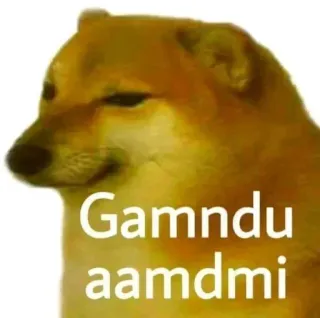 🔥 f922aa43 Gamndu aamdmi hond, meme, Cheems whatsapp sticker