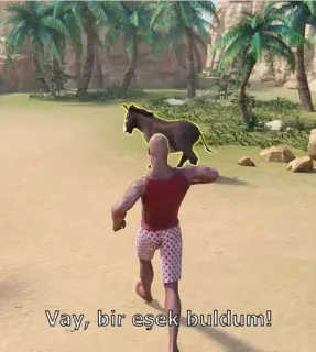 🤔 27b212f2 Vay, bir eşek buldum! keledai, pantai, pasir, orang, hewan telegram sticker