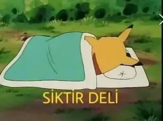🤔 30fc9e26 Pikachu SİKTİR DELİ pokemon, kartun, tidur, lucu, hewan telegram sticker