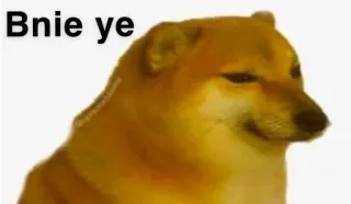 🤔 a19e079c Bnie ye anjing, meme, Cheems, hewan, internet telegram sticker