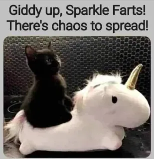 🦄 0ed896e2 Giddy up, Sparkle Farts! There's chaos to spread! kucing, unicorn, berkilau, kentut, humor, anak kucing telegram sticker