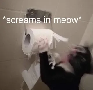 🐱 437eba95 screams in meow kucing, meme, berteriak, hewan, lucu telegram sticker