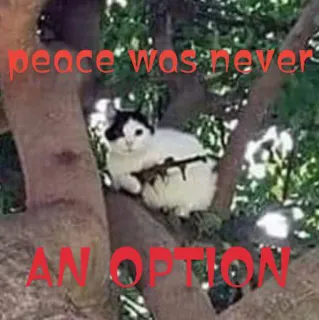 🔪 d237bc73 peace was never AN OPTION kucing, meme, hewan, lucu, damai telegram sticker