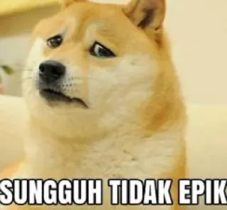 ➖ a786ae2e Doge SUNGGUH TIDAK EPIK dog, meme, doge, sad, not epic whatsapp sticker
