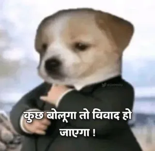 🃏 068b679f कुछ बोलूंगा तो विवाद हो जाएगा ! cane, completo, meme, divertente whatsapp sticker