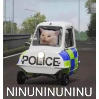 🚓 0bd5295f NINUNINUNINUNINU gatto, polizia, auto, meme, guida, umorismo whatsapp sticker